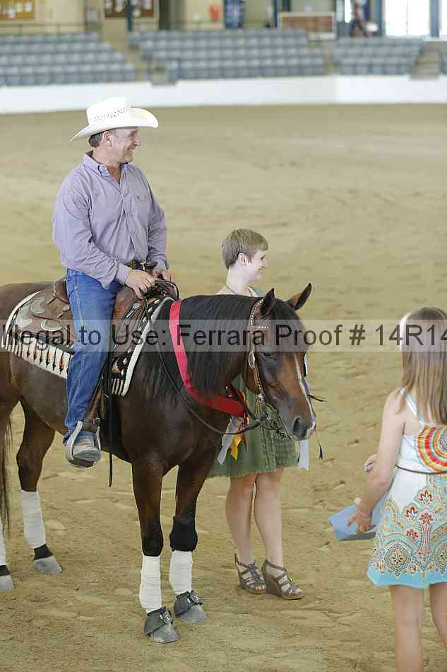 Proof Number 14r14_0290