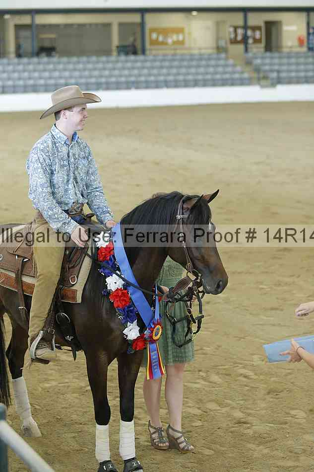 Proof Number 14r14_0304