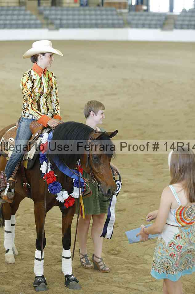 Proof Number 14r14_0316