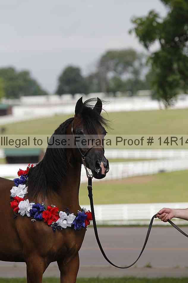 Proof Number 14r14_6148