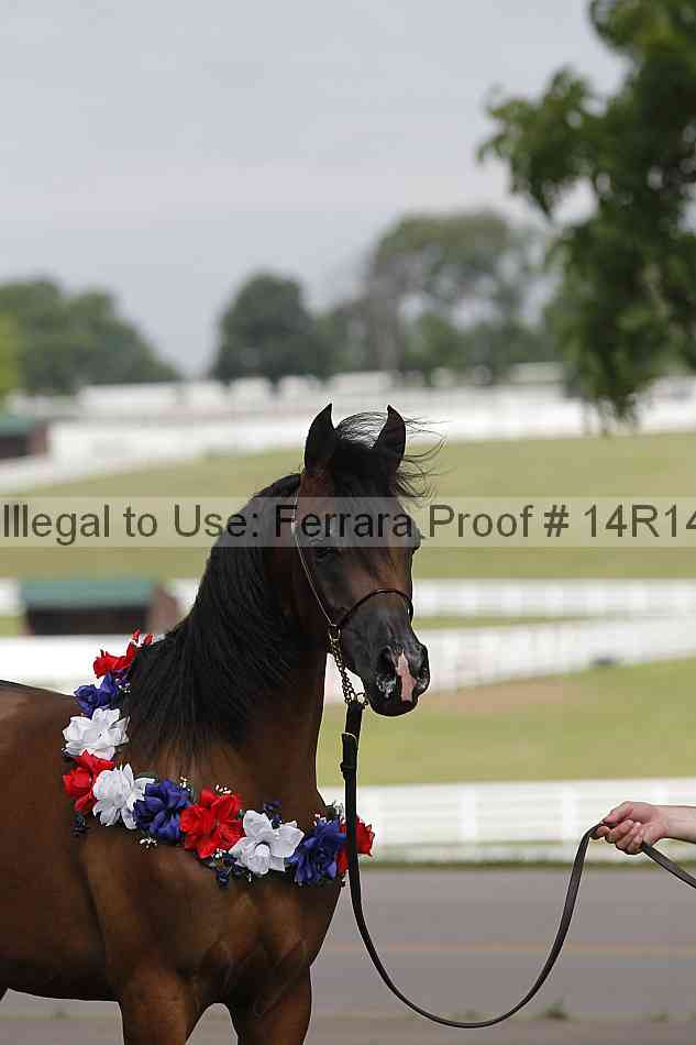 Proof Number 14r14_6149