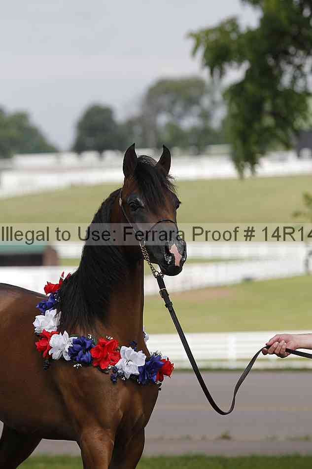 Proof Number 14r14_6150