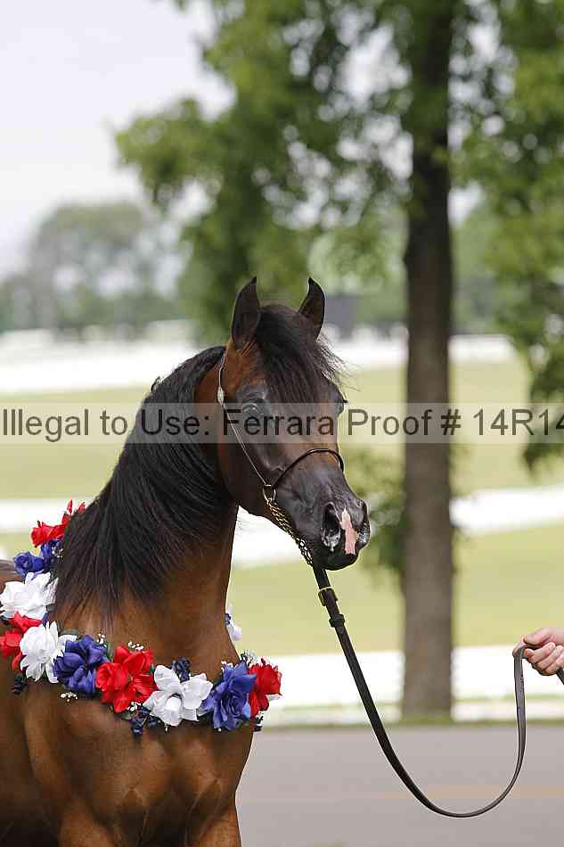 Proof Number 14r14_6152