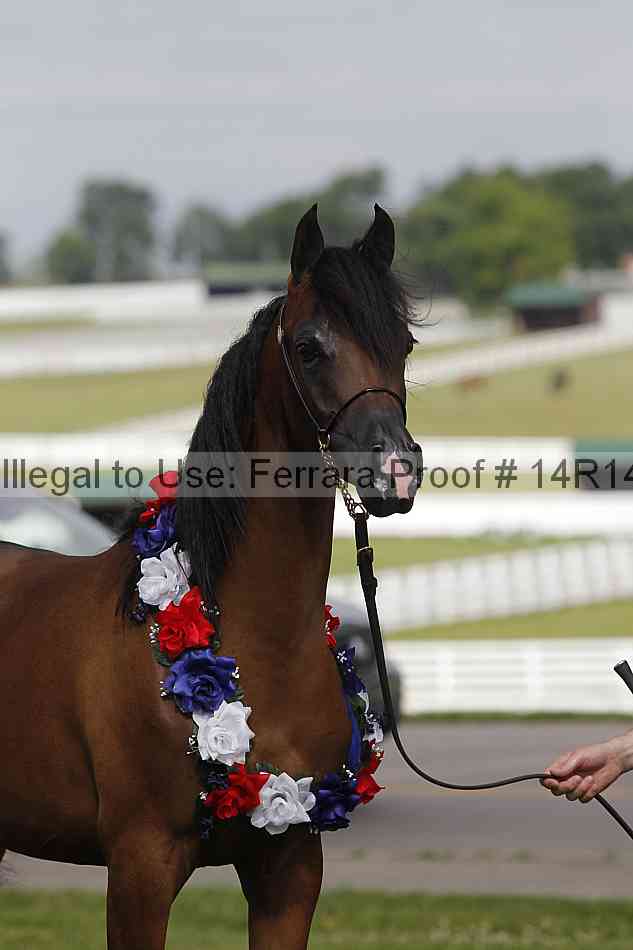 Proof Number 14r14_6176