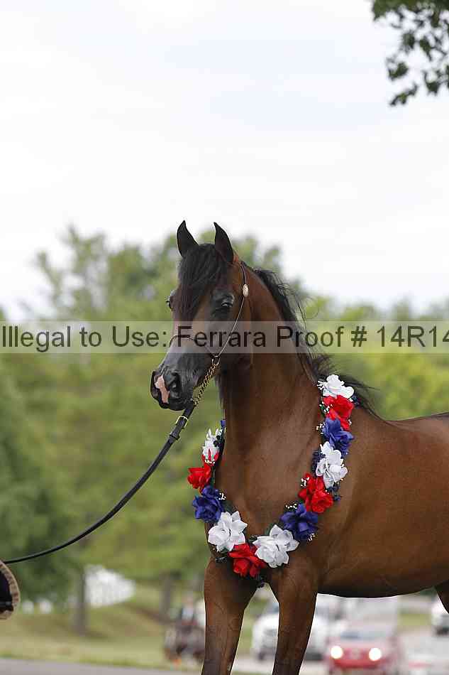 Proof Number 14r14_6212