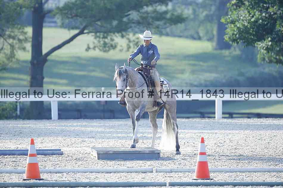 Proof Number 14r14_1843