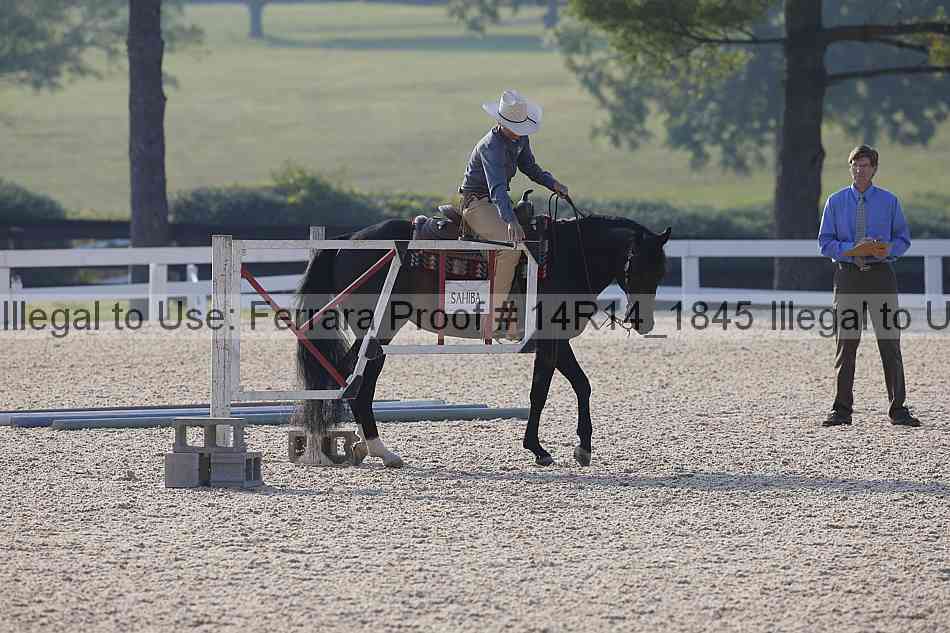 Proof Number 14r14_1845