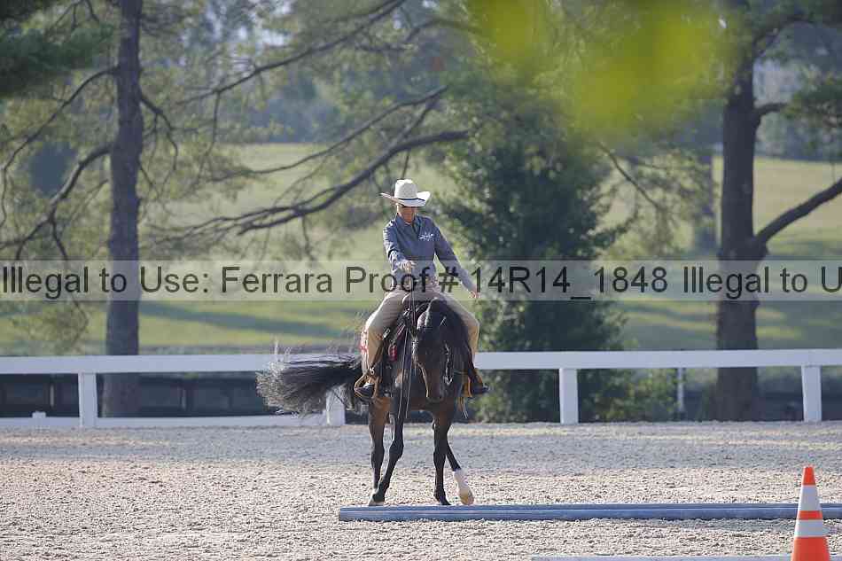 Proof Number 14r14_1848