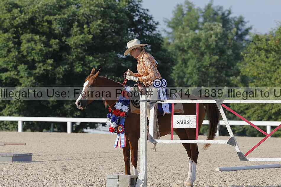 Proof Number 14r14_1889
