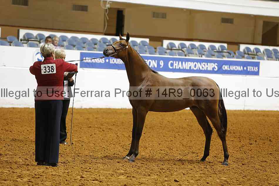 Proof Number 14r9_0063