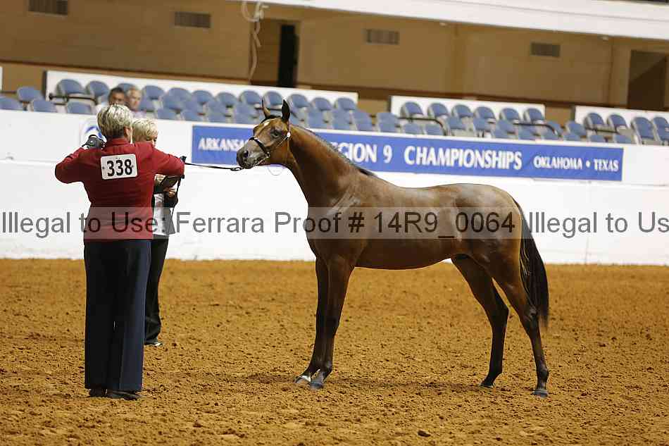 Proof Number 14r9_0064