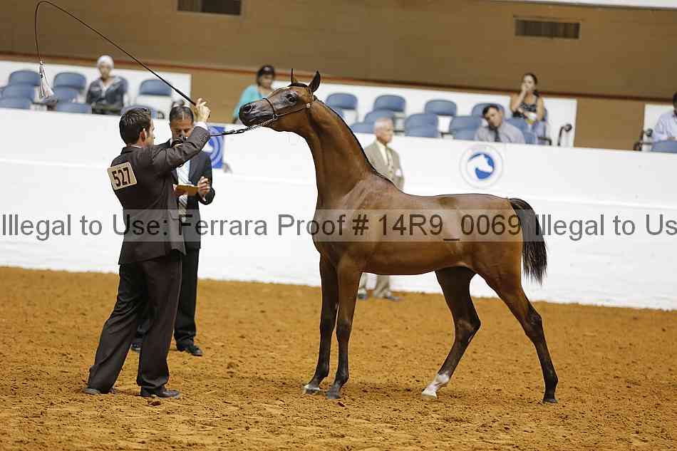 Proof Number 14r9_0069