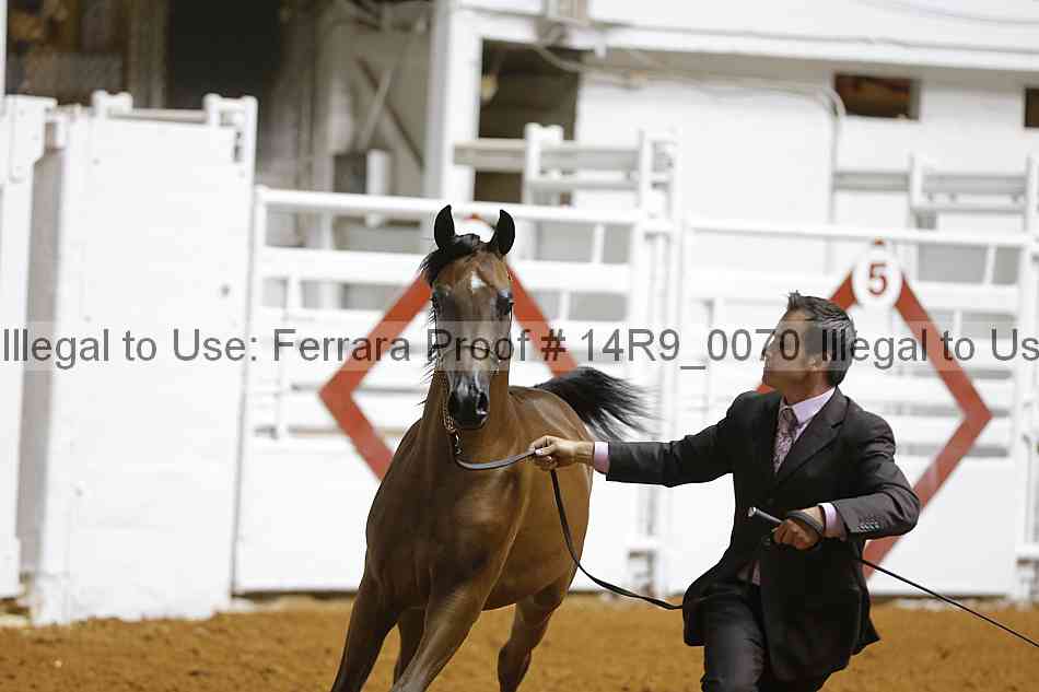 Proof Number 14r9_0070