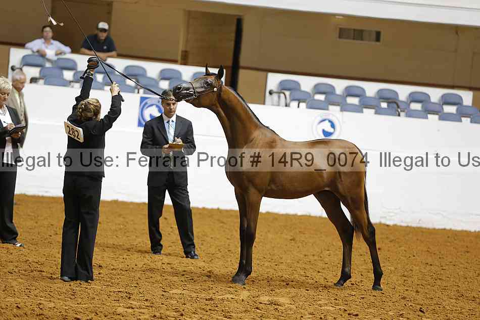 Proof Number 14r9_0074
