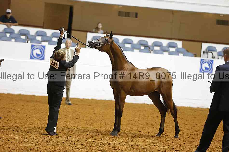 Proof Number 14r9_0075