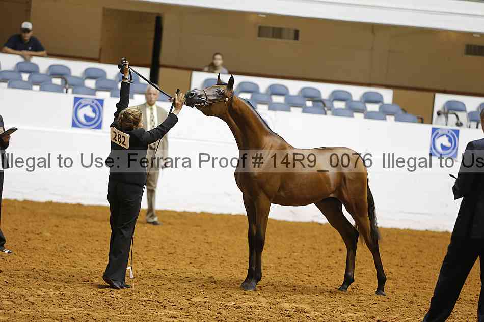 Proof Number 14r9_0076