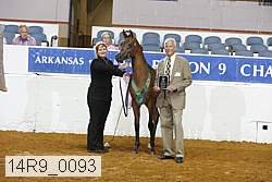 14r9_0093 thumbnail