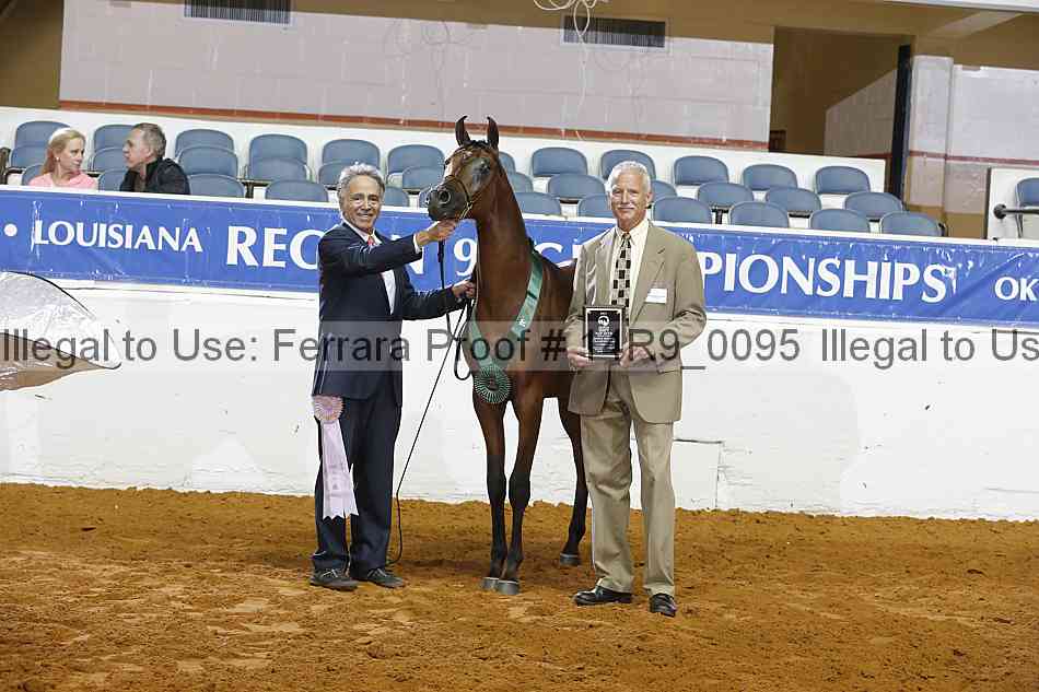 Proof Number 14r9_0095