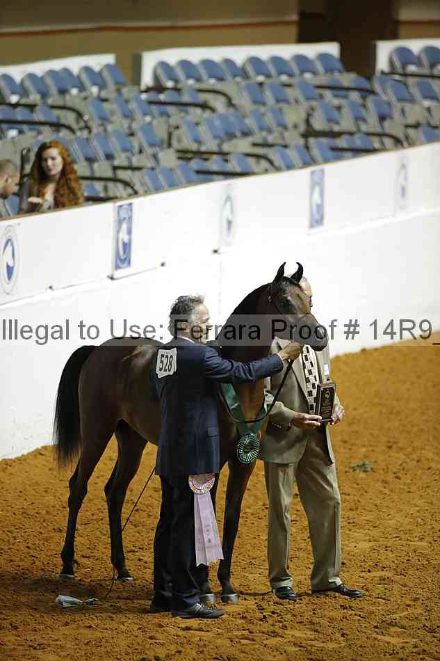 Proof Number 14r9_0097