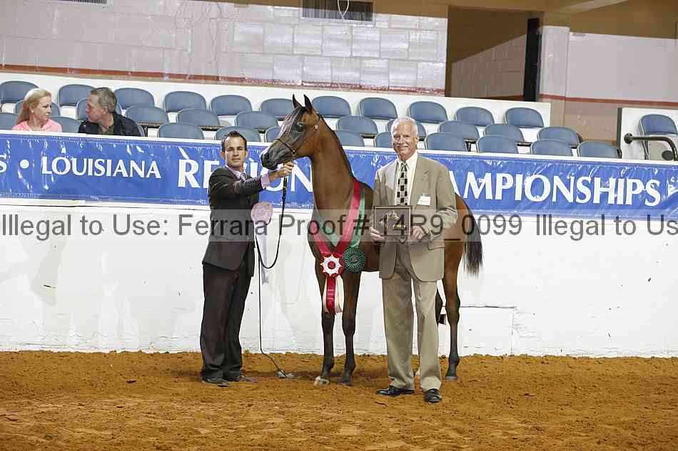 Proof Number 14r9_0099