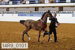 14r9_0101 thumbnail
