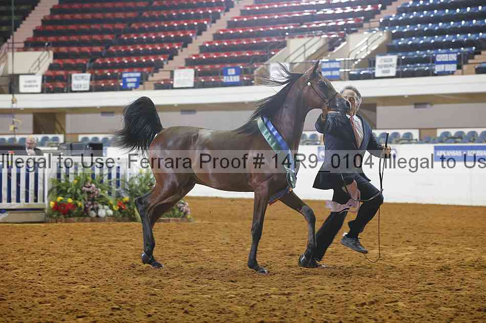 Proof Number 14r9_0104