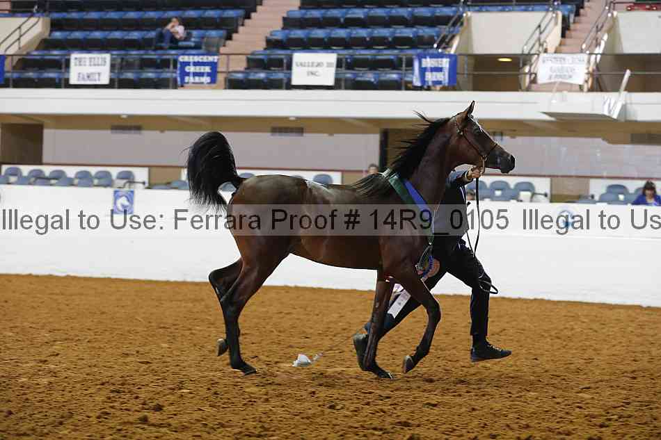 Proof Number 14r9_0105