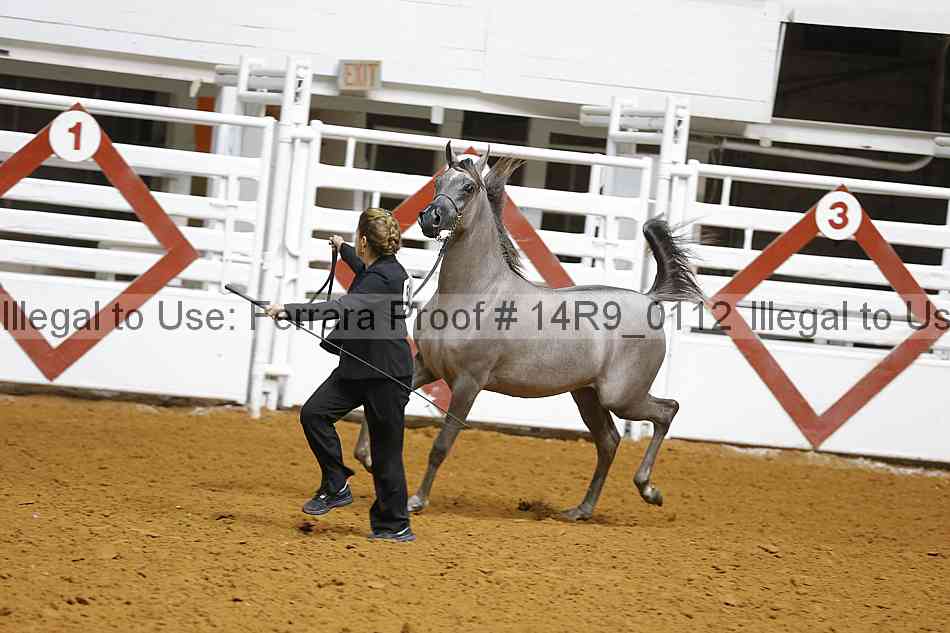 Proof Number 14r9_0112