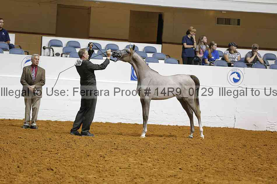 Proof Number 14r9_0129
