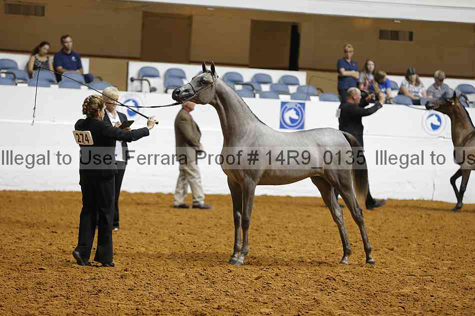 Proof Number 14r9_0135