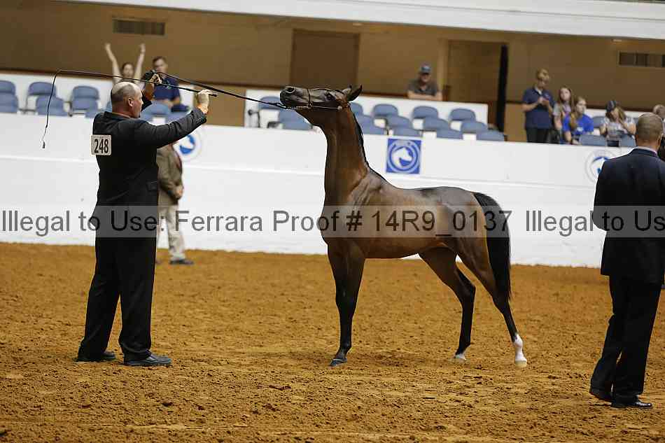 Proof Number 14r9_0137