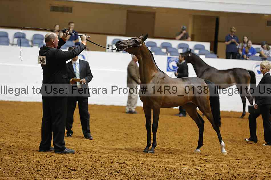 Proof Number 14r9_0138