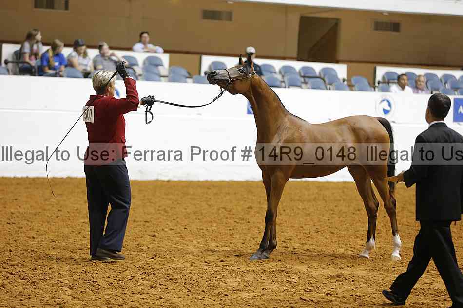 Proof Number 14r9_0148