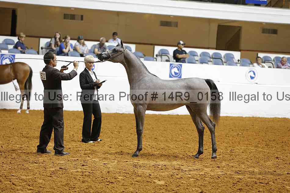 Proof Number 14r9_0158