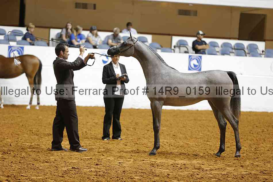 Proof Number 14r9_0159