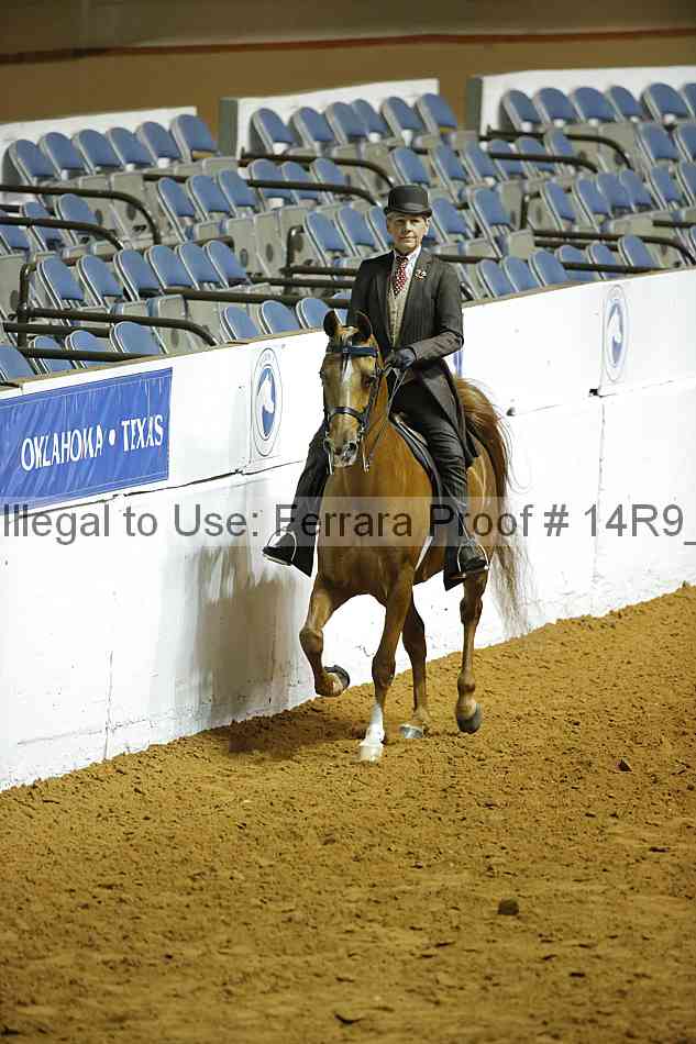 Proof Number 14r9_0182