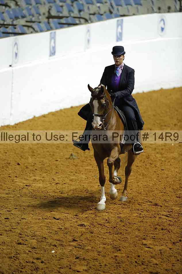 Proof Number 14r9_0186