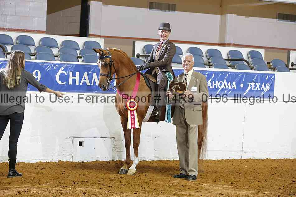 Proof Number 14r9_0196