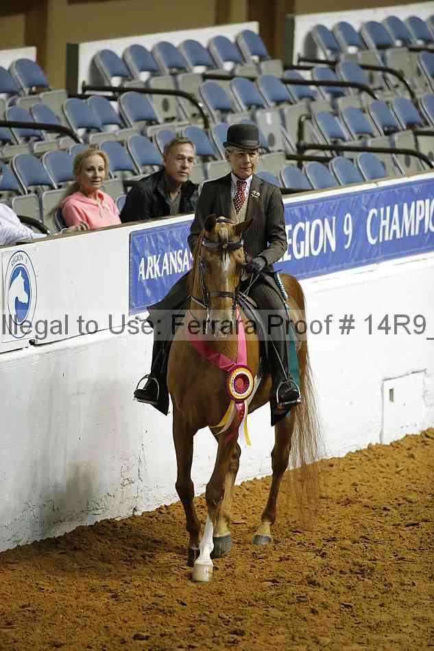 Proof Number 14r9_0199