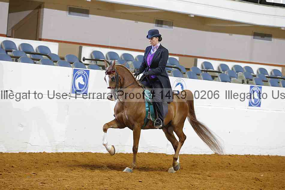 Proof Number 14r9_0206