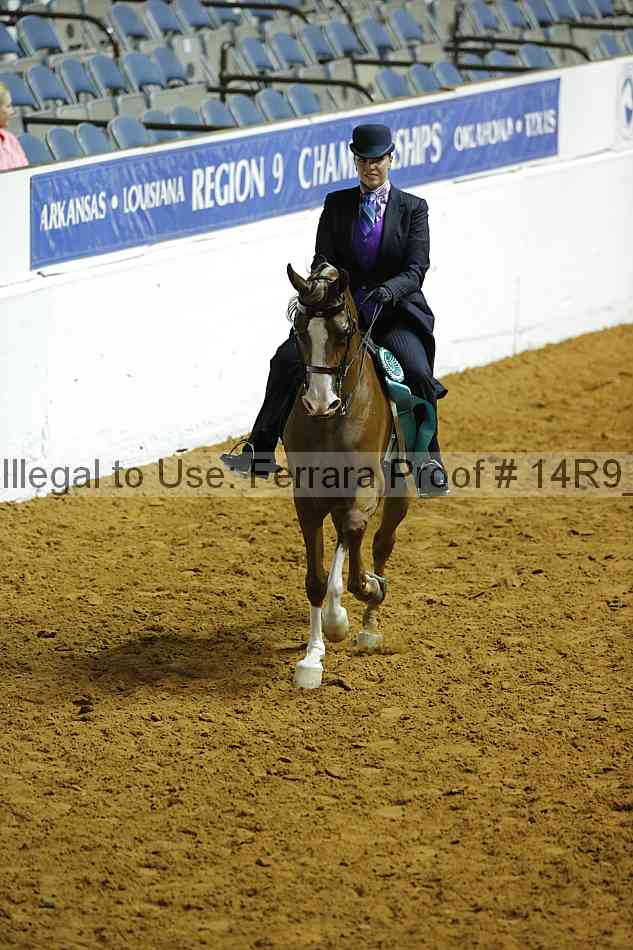 Proof Number 14r9_0209