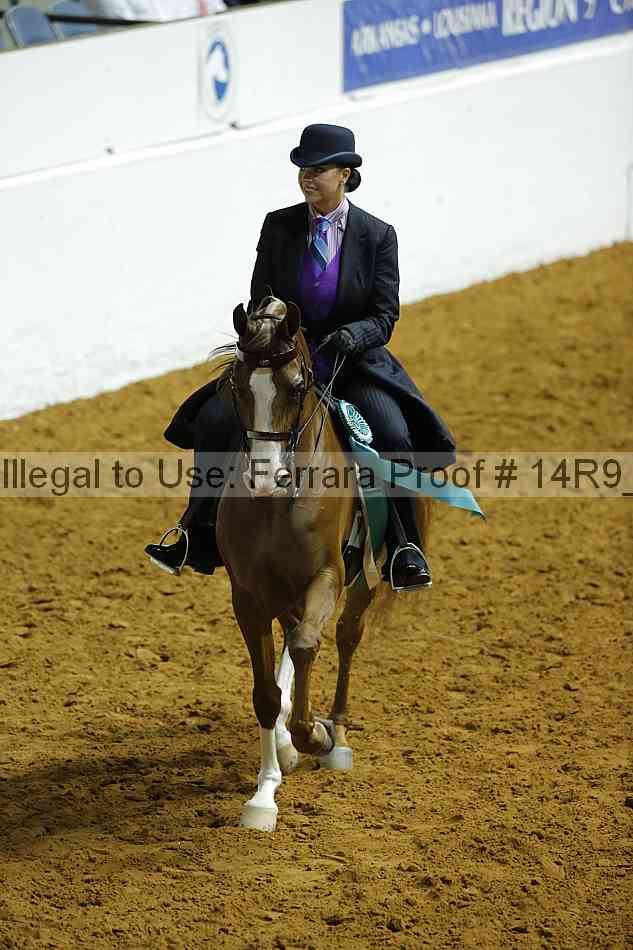 Proof Number 14r9_0210