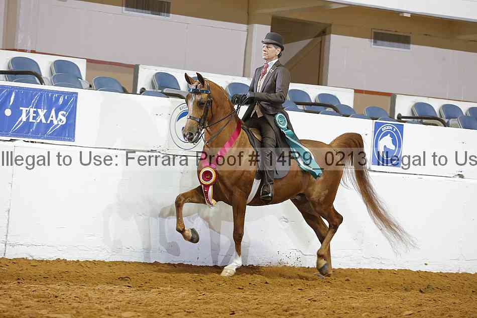 Proof Number 14r9_0213