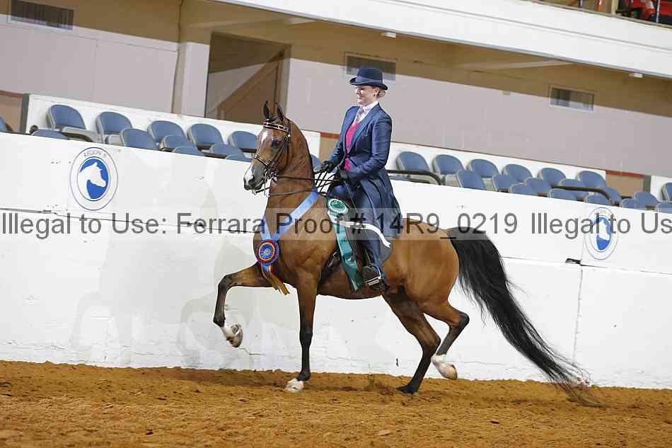 Proof Number 14r9_0219