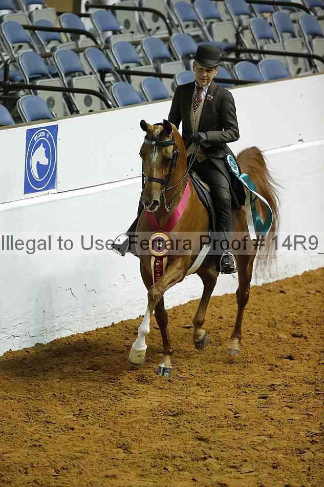 Proof Number 14r9_0221