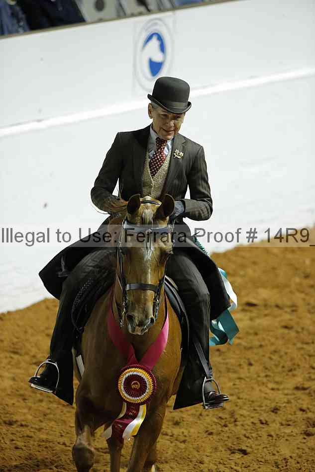 Proof Number 14r9_0223