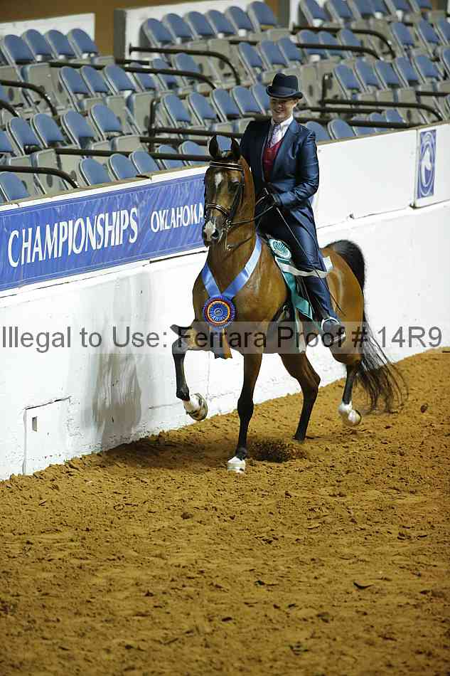 Proof Number 14r9_0225