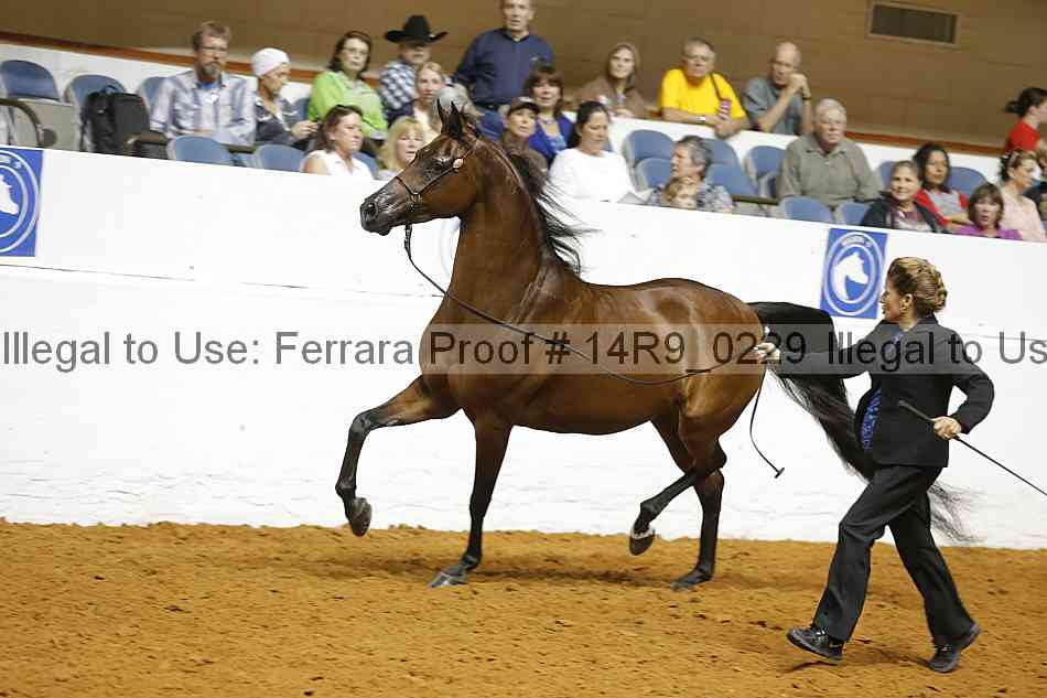 Proof Number 14r9_0229