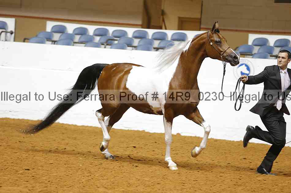 Proof Number 14r9_0230