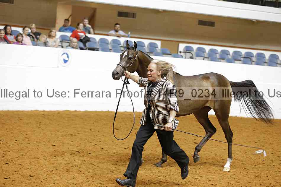 Proof Number 14r9_0234